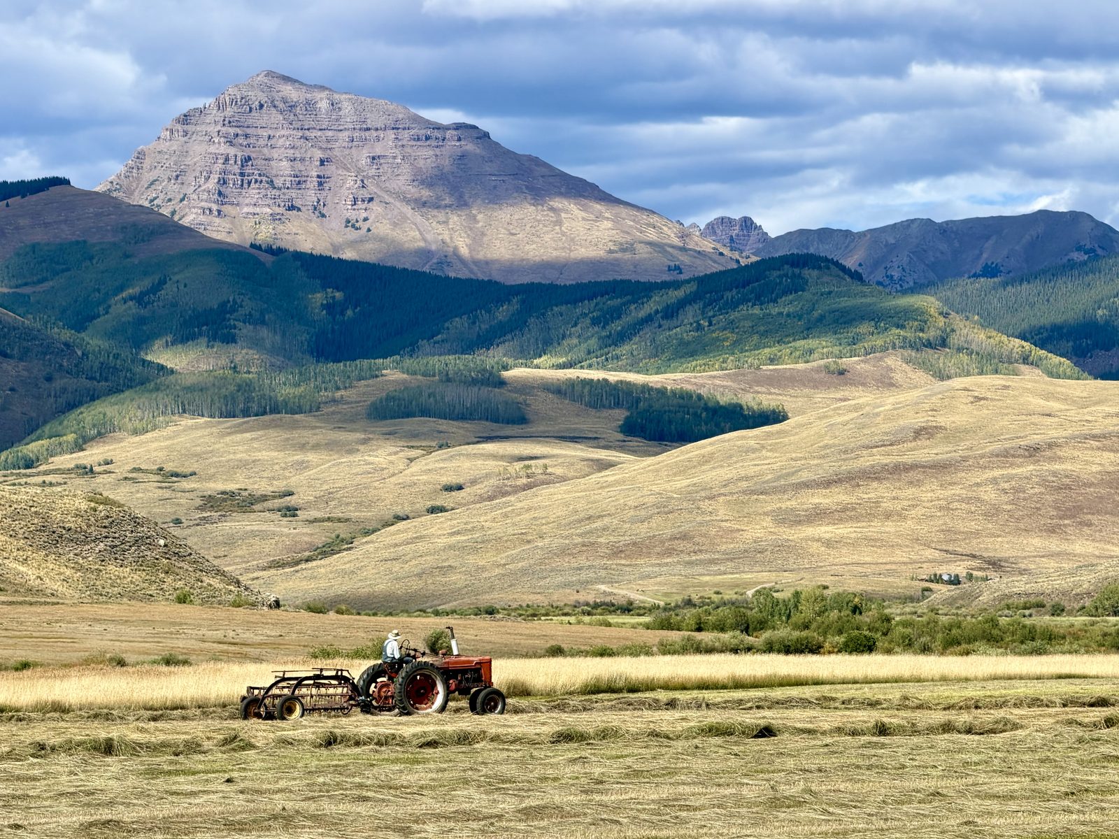 A man in a wide-brimmed hat rakes hay from the seat of an old red tractor in a freshly mown field. Behind him, golden hills, dark timber, and the gray layered summit of Teocalli Mountain under a cloudy blue sky.