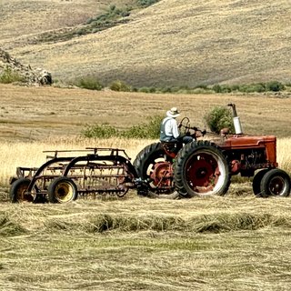 A man rakes hay from the seat of an old red tractor in a mown field below Teocalli Mountain